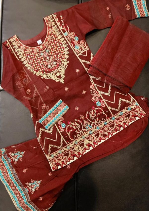 Kids Organza Gharar Suit