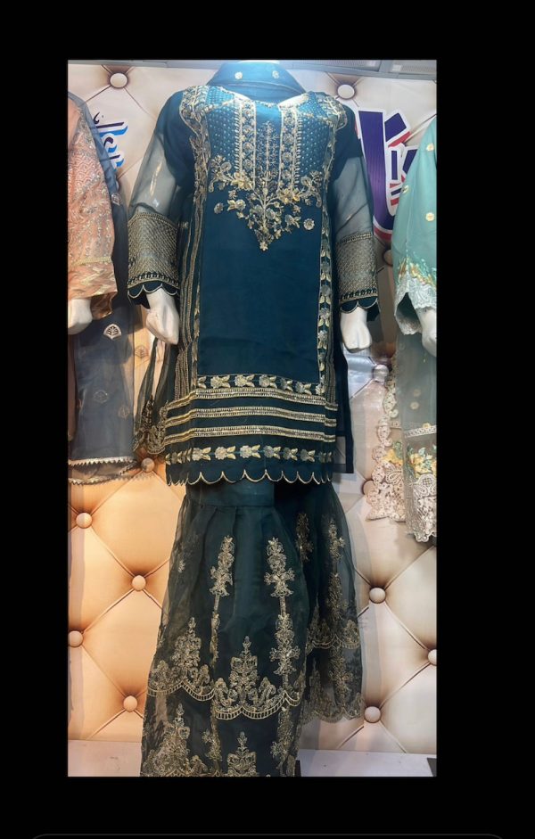 Organza Gharara 3pcs Suit