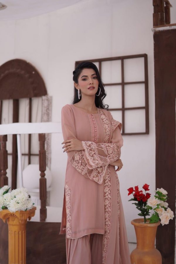 Chiffon 3pcs Gharara Suit – Bild 2