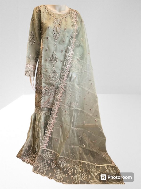 Areej 3pcs Organza Gharara suit