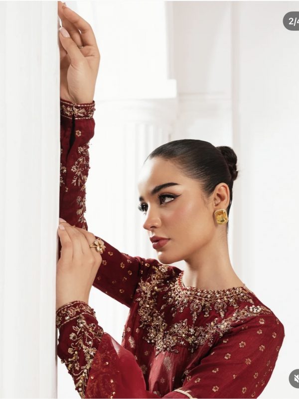 Zarqun Silk Fancy 3Pcs Suit – Bild 2