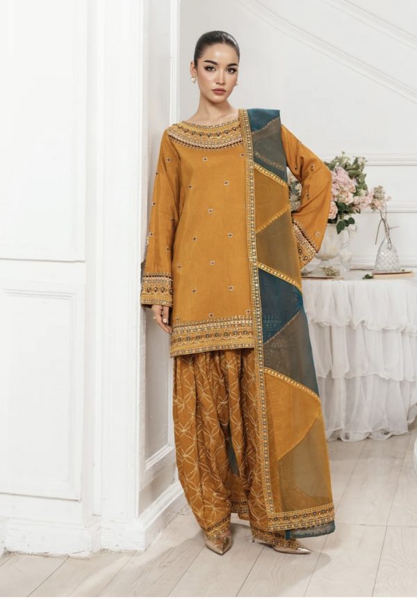 Zarqun 3Pcs Fancy Suit