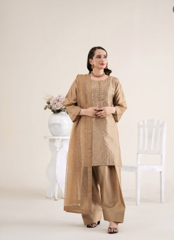 RaniyaH 3Pcs Rawsilk Suit