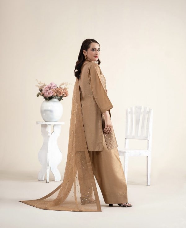 RaniyaH 3Pcs Rawsilk Suit – Bild 3