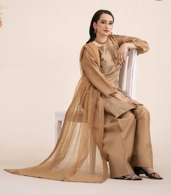 RaniyaH 3Pcs Rawsilk Suit – Bild 2