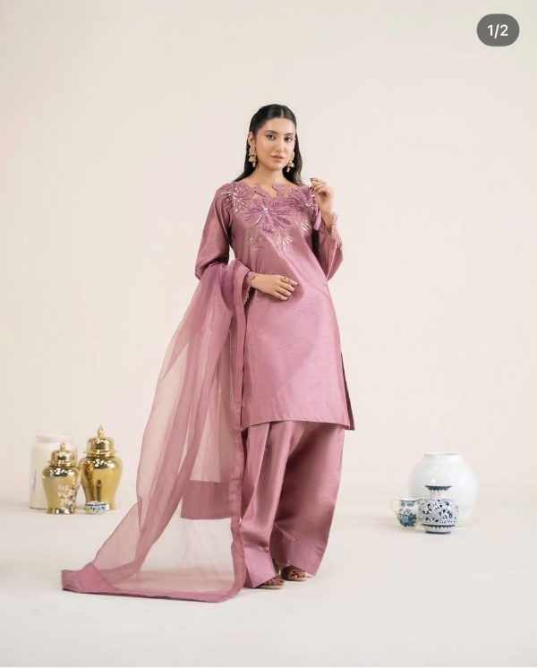 RaniyaH 3Pcs Rawsilk Suit