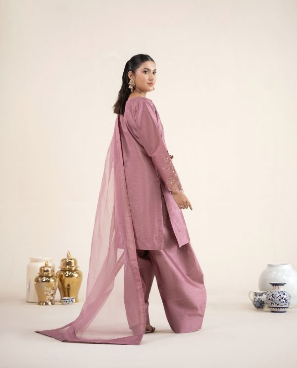 RaniyaH 3Pcs Rawsilk Suit – Bild 2