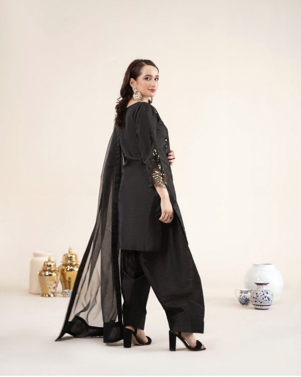 RaniyaH 3Pcs Rawsilk Suit – Bild 2