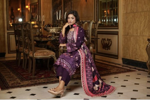 Munira 3Pcs Embroidered Dhanak Suit – Bild 2