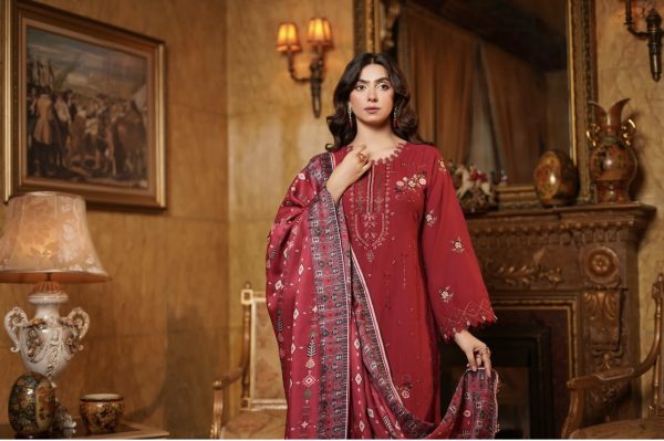 Munira 3Pcs Embroidered Dhanak Suit – Bild 2